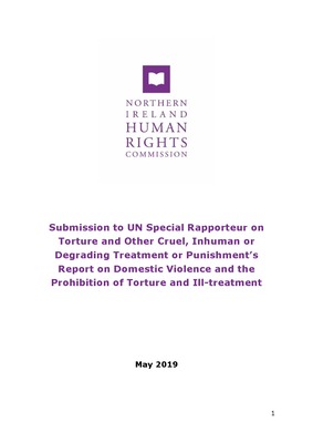 Submission to UN Special Rapporteur on Torture Report on Domestic Violence and the Prohibition of Torture and Ill-treatment