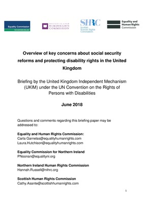UK Independent Mechanism: Overview of key concerns